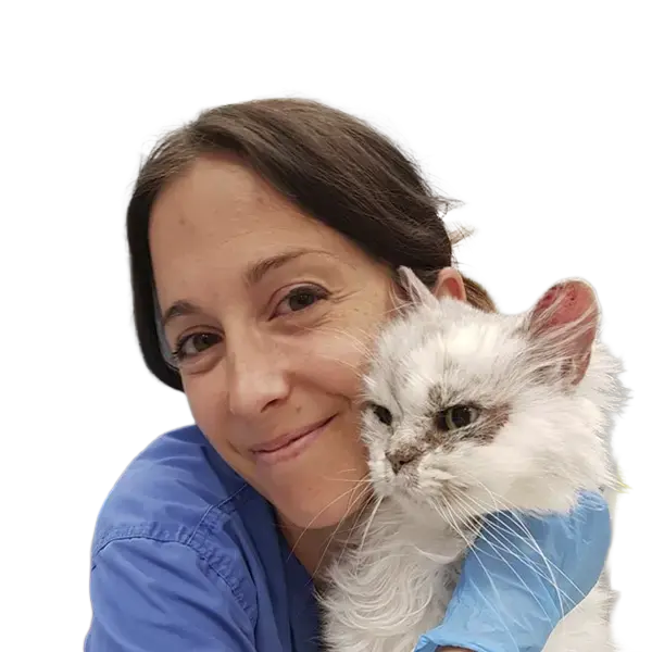 Dynamic Content Image