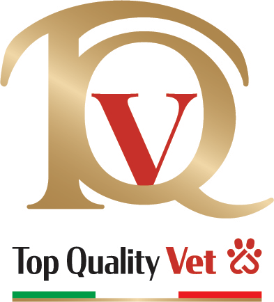 Top quality vet