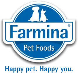 Dynamic Content Image