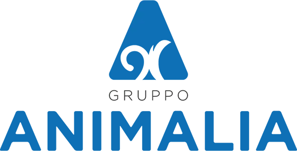 Dynamic Content Image