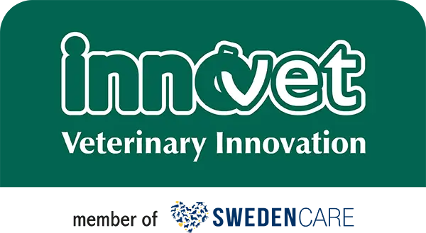 Dynamic Content Image